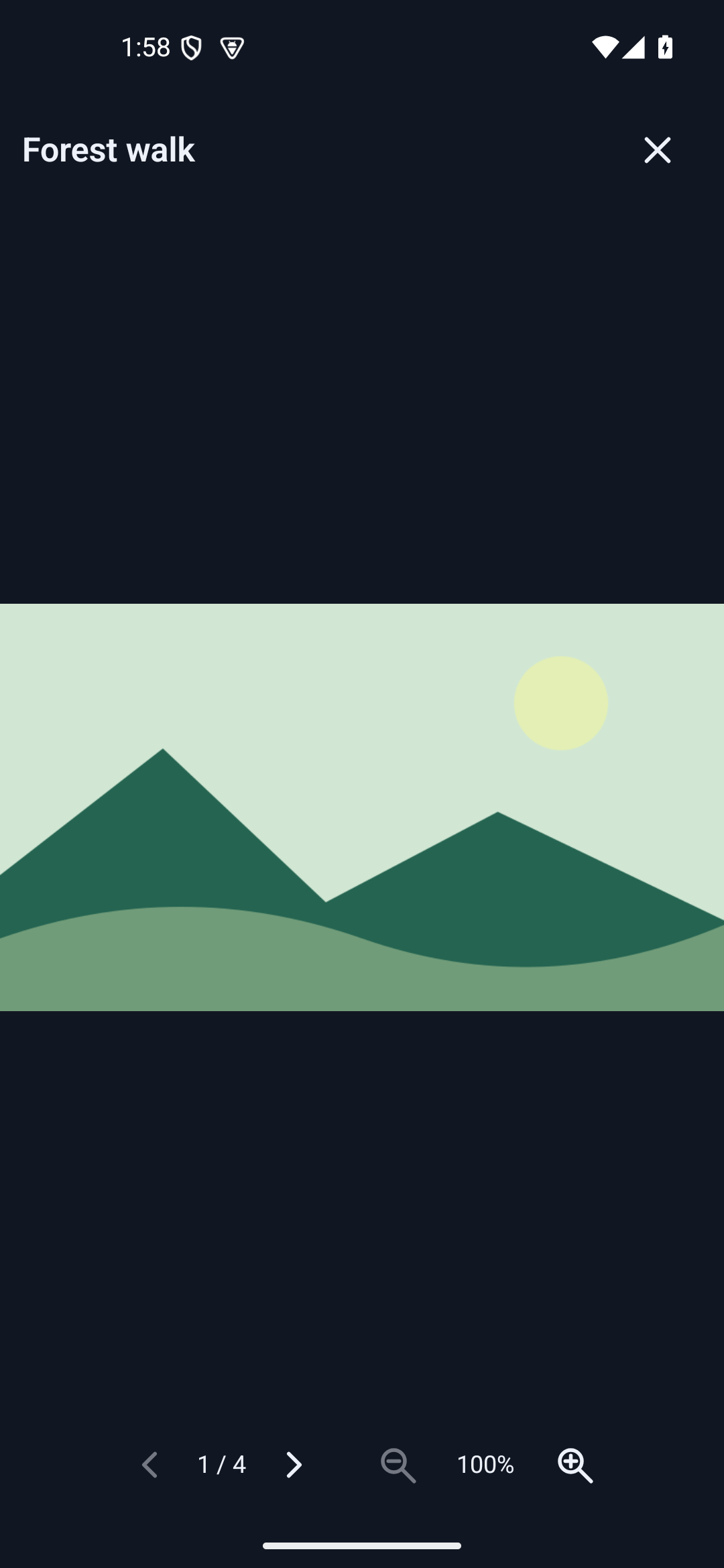 Image Viewer · android · native capture